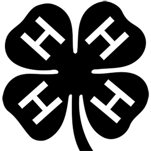 4-H